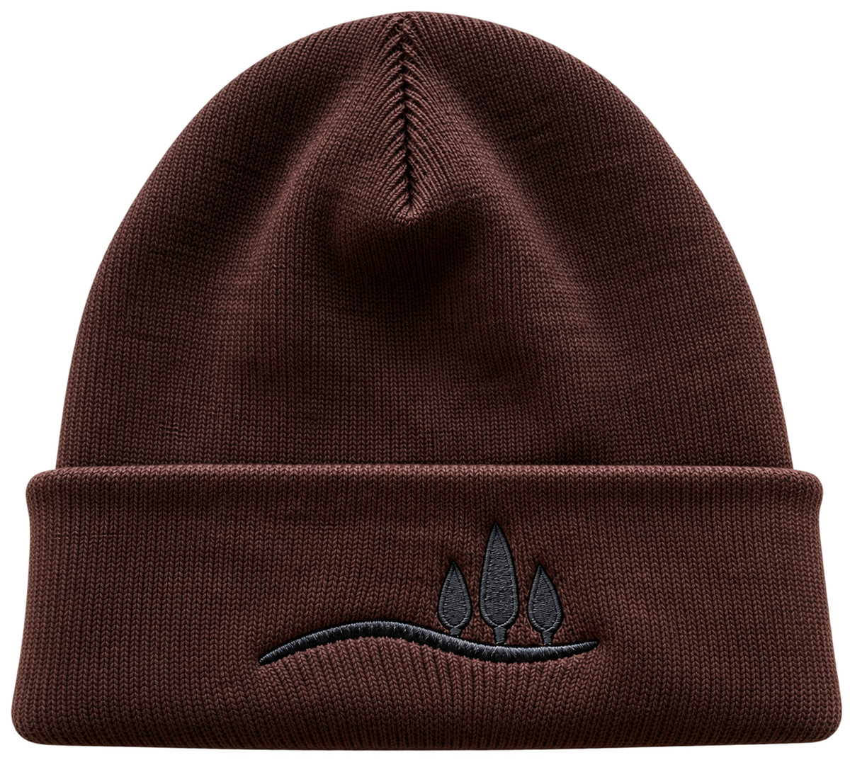 Cuffed Beanie