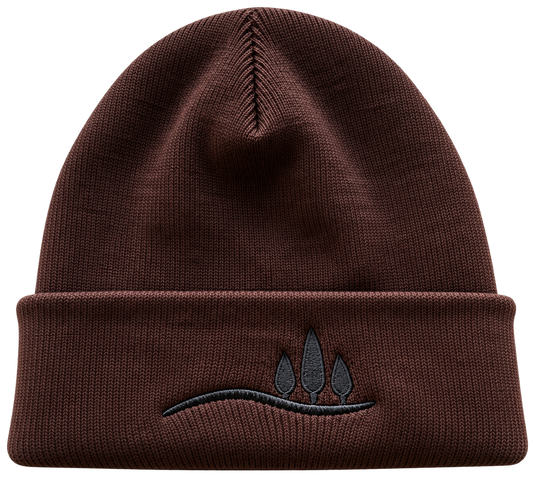 Cuffed Beanie