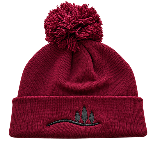 Pom Pom Beanie