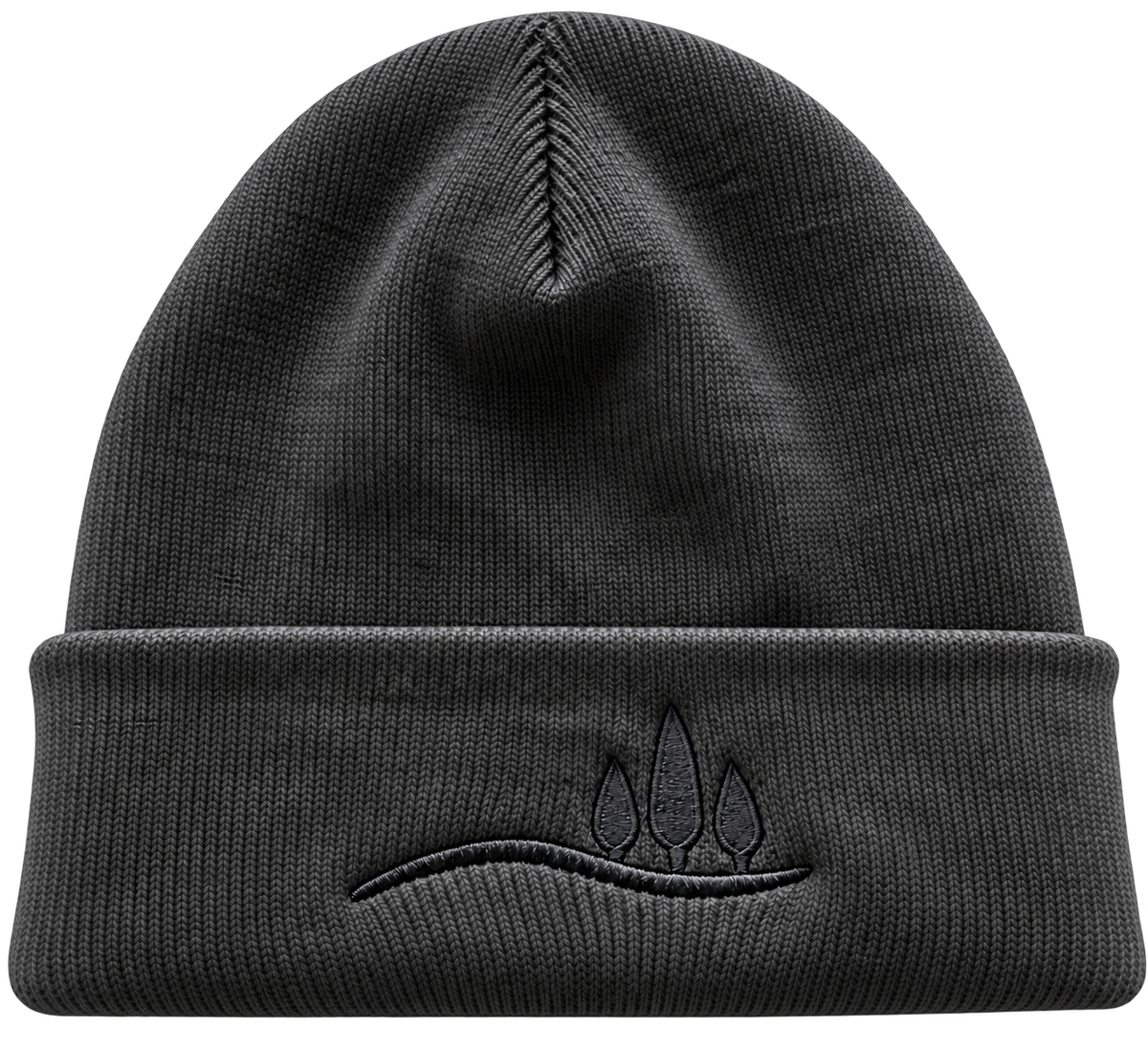 Cuffed Beanie