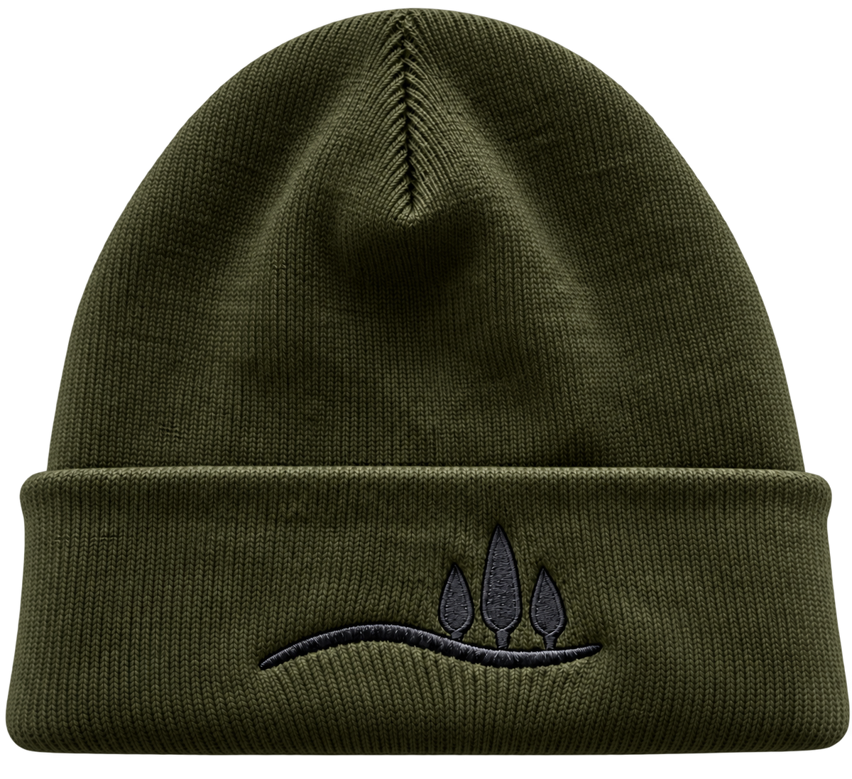 Cuffed Beanie