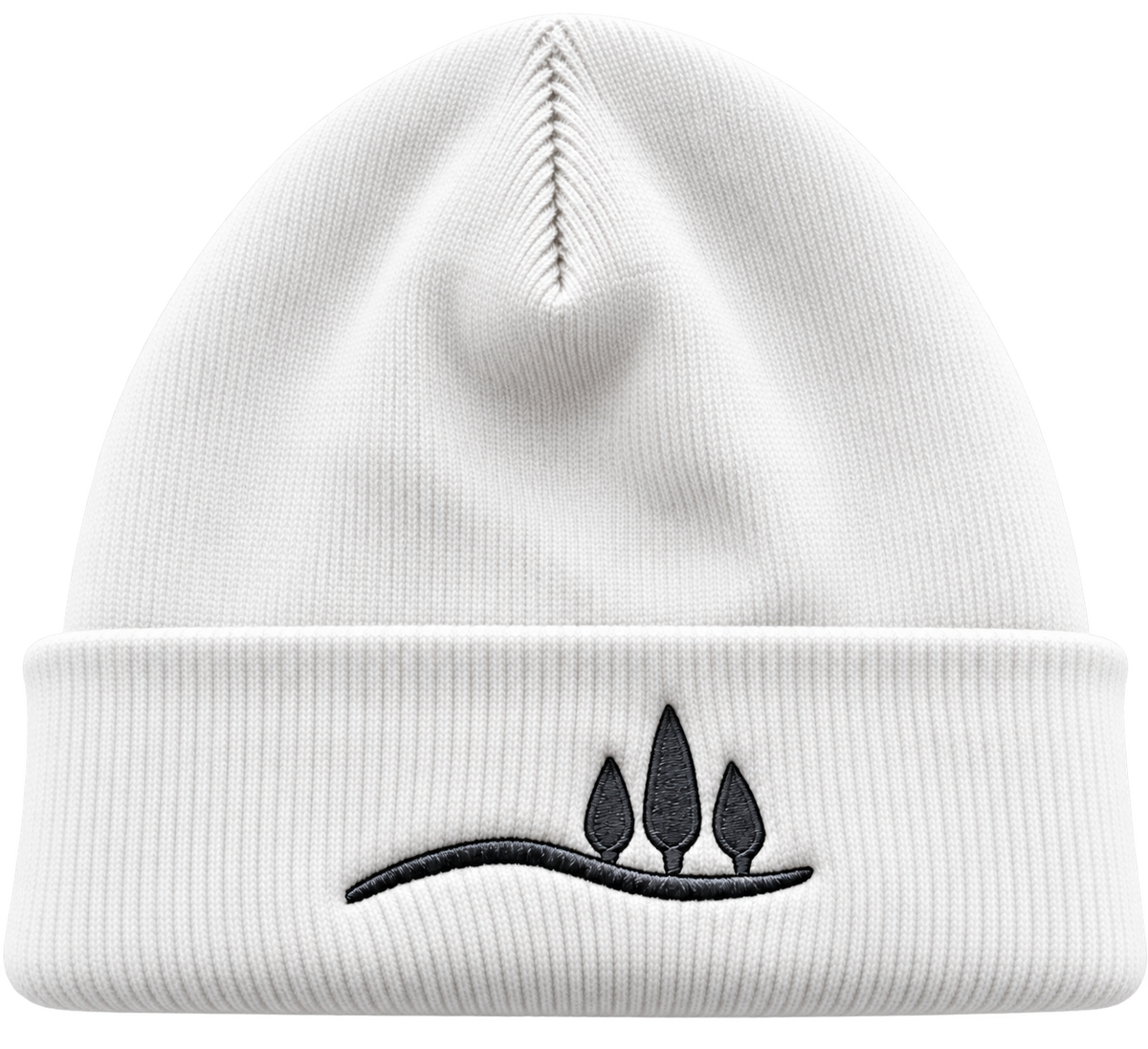 Cuffed Beanie